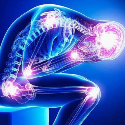 Kinesio Palermo